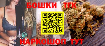 PSILOCYBIN Можга